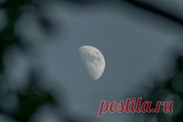 Гороскоп на ДЕКАБРЬ 2025 г для БЛИЗНЕЦОВ: самый точный прогноз для мужчин и женщин по знаку зодиака, советы астрологов