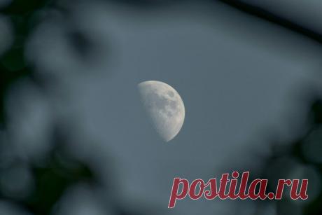 Гороскоп на ДЕКАБРЬ 2025 г для БЛИЗНЕЦОВ: самый точный прогноз для мужчин и женщин по знаку зодиака, советы астрологов