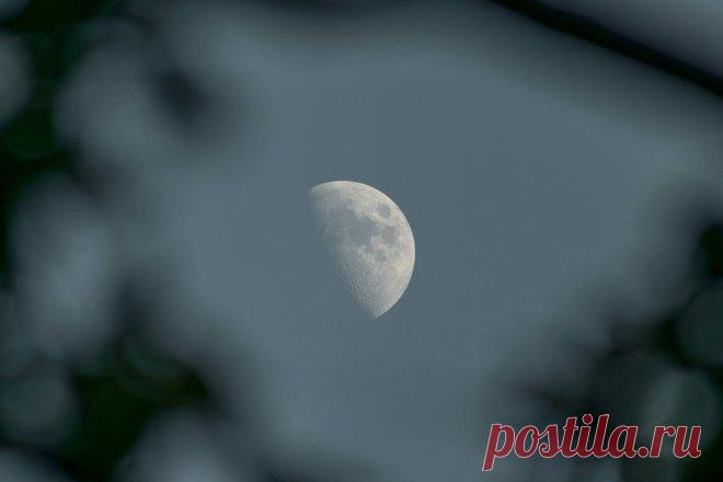 Гороскоп на ДЕКАБРЬ 2025 г для БЛИЗНЕЦОВ: самый точный прогноз для мужчин и женщин по знаку зодиака, советы астрологов