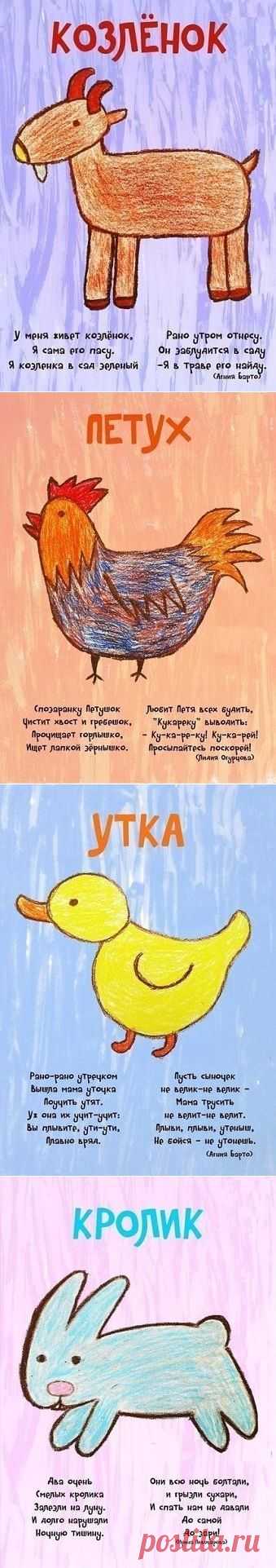 Стишки про животных - Поделки с детьми | Деткиподелки