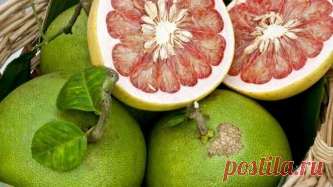 Что такое помело и чем оно полезно нашему организму? | Hi-News.ru | Яндекс Дзен