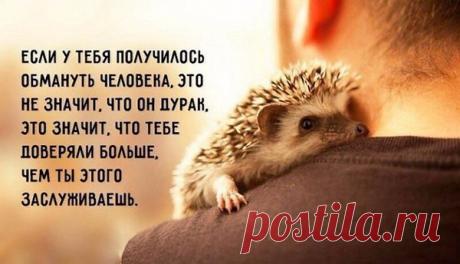 Интересные новости