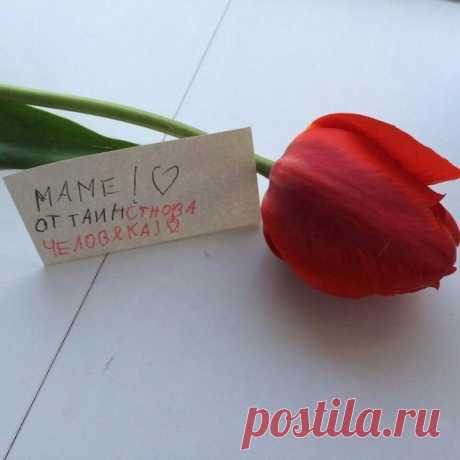 Мистер таинственность