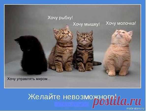 Сейчас уже каждый второй человек ищет себе дополнительный или основной источник дохода, именно поэтому так часто приходит сообщения с предложениями о работе. Я вам хочу предложить просто ознакомиться с информацией, которую предлагаю я, и узнать как удается людям в кризис зарабатывать. Кому интересно ставь "+" в комментариях скину информацию или нажимай подробнее.