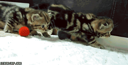 Мой Мир@Mail.Ru