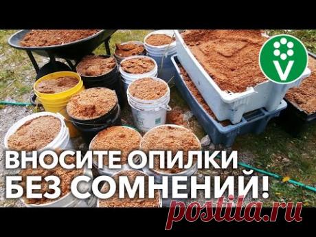 ДАЖЕ ТОНКИЙ СЛОЙ ОПИЛОК УЛУЧШАЕТ ПОЧВУ! Растениям понравится – убедитесь сами! - YouTube