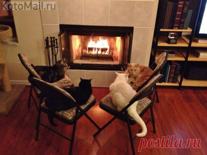 тихим зимним вечером
