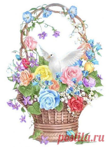 (24) Pinterest