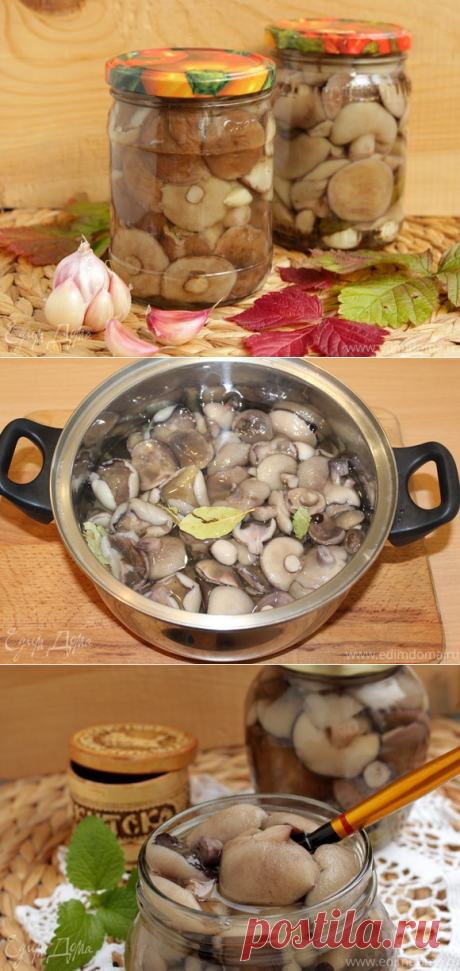 Маринованные маслята