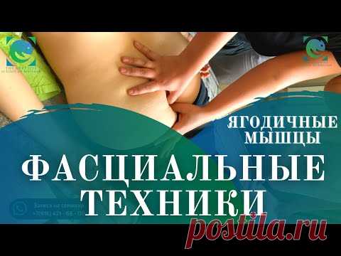 Ягодичные мышцы. ФАСЦИАЛЬНЫЕ ТЕХНИКИ В МАССАЖЕ. Татьяна Яковлева - YouTube