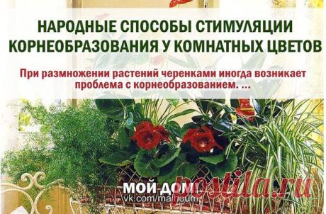 Без заголовка