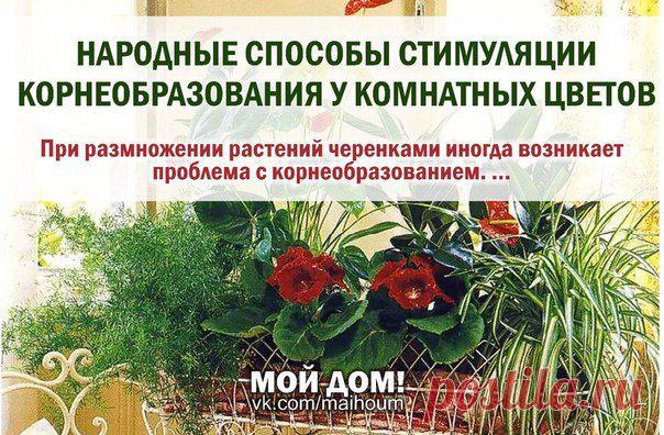 Без заголовка