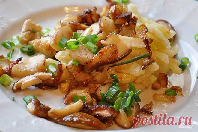 Моховики с картошкой - рецепт с фото на Повар.ру