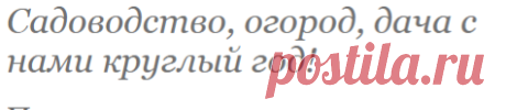 Асиенда.ру - сад, огород, дача, приусадебное хозяйство