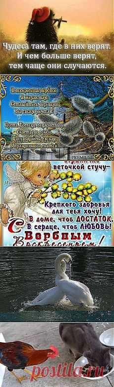(64) Одноклассники
