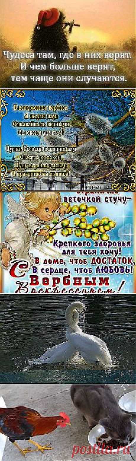 (64) Одноклассники