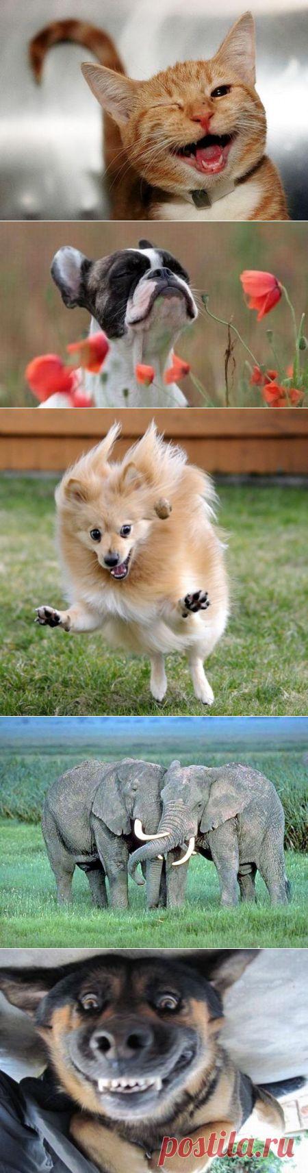 Как выглядят счастливые &#8212; Всегда в форме!