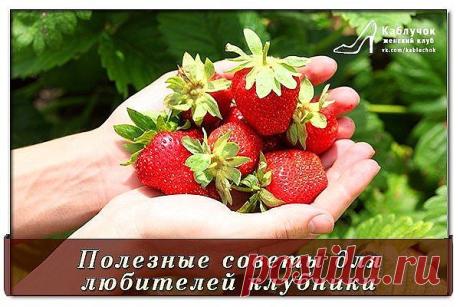 (1) Одноклассники