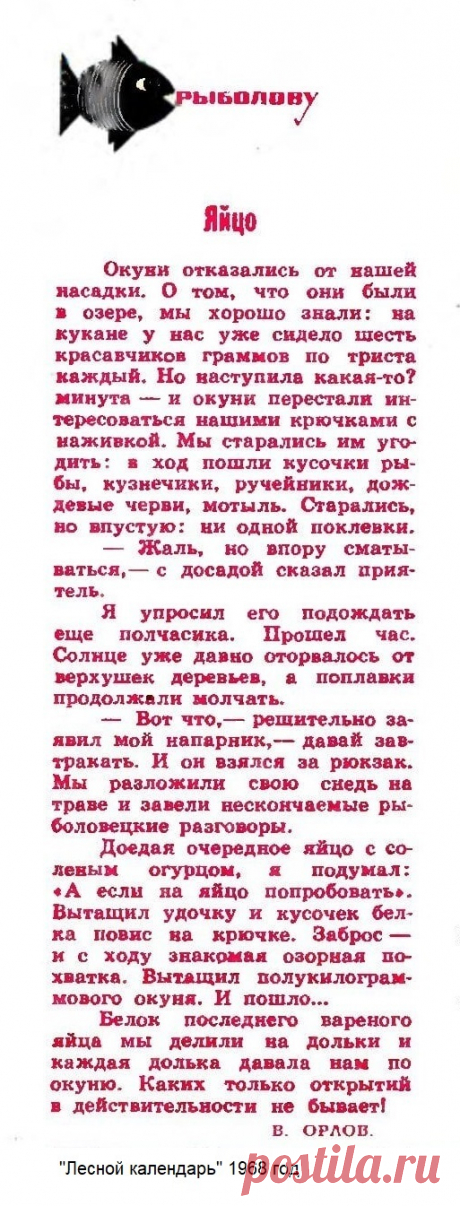 Насадка из яйца