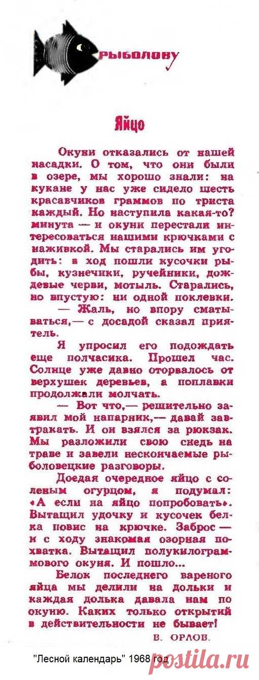 Насадка из яйца