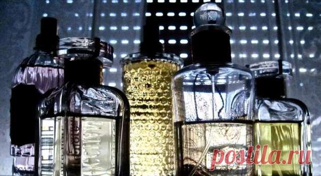 Дом пахнет дворцом: 10 «дорогих» ароматов для дома . Милая Я