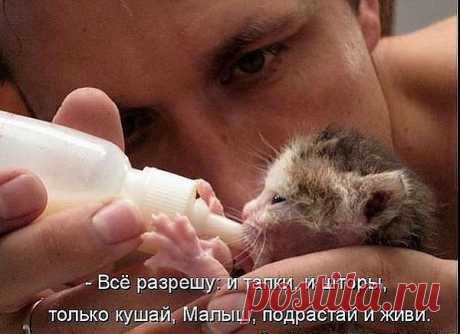 Только живи!