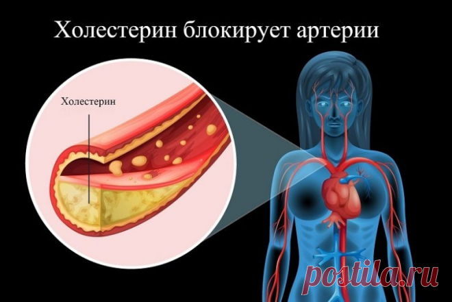 На какие показатели здоровья следует обратить внимание в первую очередь? / Будьте здоровы