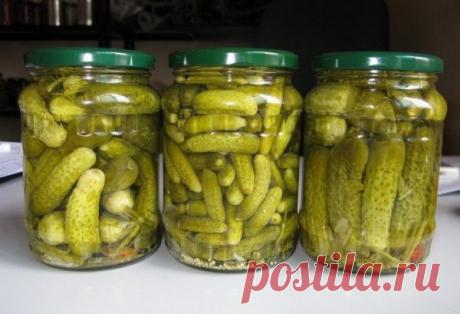 Обожнюю їх. Так і тягне до тієї баночки. Смачне все: хрусткі злегка солодковаті огірочки, і пряний розсол Чудовий рецепт для ваших заготовок. Складові: Огірки свіжі (скільки увійде в банку); Парасольки кропу – 2-3 шт; Лист хрону –