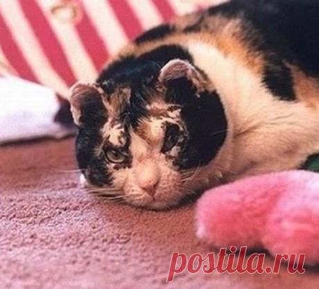 Мама с большой буквы
