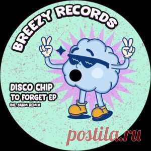 Disco Chip - To Forget [BRZ005] - HypeDJ.top