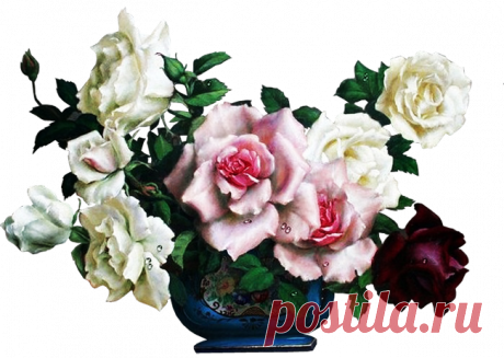 разные красивые детали на прозрачном фоне: 19 тыс изображений найдено в Яндекс.Картинках