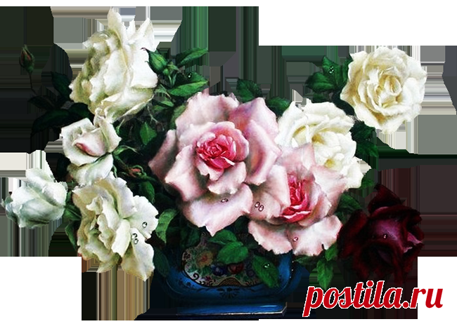 разные красивые детали на прозрачном фоне: 19 тыс изображений найдено в Яндекс.Картинках