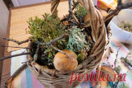 Необычный материал для творчества у вас под ногами! Удивите детей и не только самодельными шевелящимися деревьями из цетрарии
Вы наверняка видели в интернете в продаже деревья, композиции, горшочки и т.д. из необычного материала — из цетрарии. Как оказалось, не многие знают, что сделать …
Читай дальше на сайте. Жми подробнее ➡