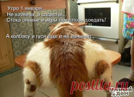 Фотографии на стене сообщества – 45 074 фотографии | ВКонтакте