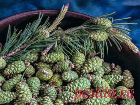 Рецепт варенья из сосновых шишек Очень вкусный и полезный рецепт
Казалось бы, до начала сезона варенья и домашних заготовок еще далеко. Но можно и не дожидаться, пока поспеют сливы, персики, яблоки и т.д. А прямо в мае отправиться в …