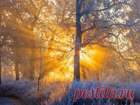 (5) Facebook
