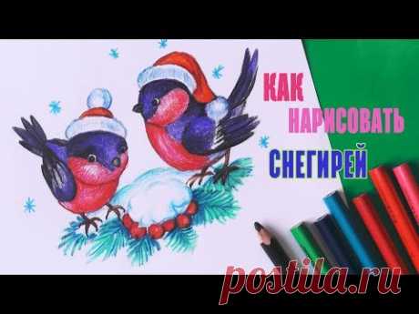 Как нарисовать СНЕГИРЕЙ | Art School Уроки рисования