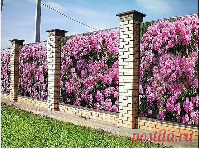 Фотосетка на заборе. Очень красиво!