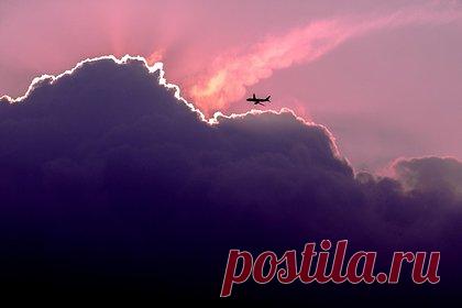 Стали известны новые подробности о разбившемся Falcon 10. У компании «Атлетик-груп», владеющей разбившимся в Афганистане самолетом Falcon 10, как оказалось, нет лицензии на совершение авиаперевозок. Совладельцем является второй пилот, об этом сообщила следователь по особо важным делам Московского СО на воздушном и водном транспорте СК РФ Мария Трубникова.