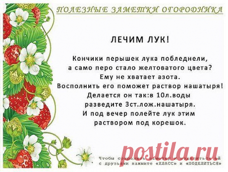 (73) Одноклассники