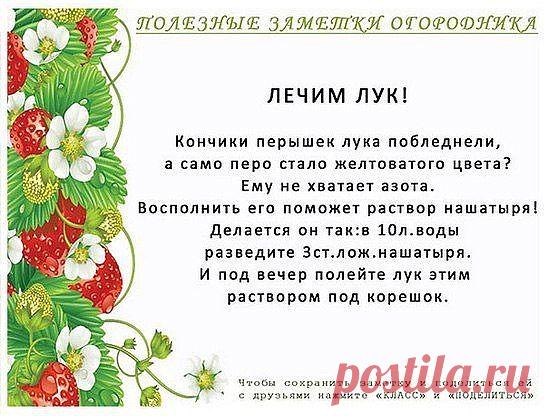 (73) Одноклассники