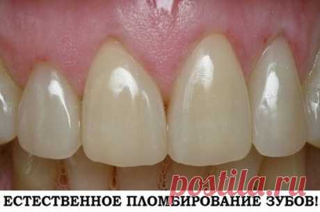 Естественное пломбирование зубов! 
Это очень действенное народное средство лечения зубов. 
Аир проникает в корни зубов и обезболивает их, а прополис пломбирует все микротрещины. Зубы естественным путём полностью исцеляются!
Возьмите пол-литра водки 40% и всыпьте туда полстакана корней аира. Это первый настой.Для приготовления второго: возьмите ещё пол-литра водки 40% и всыпьте 15-20 грамм растёртого прополиса.Оба настоя настаивать 7-10 дней.Обе настойки применяют одновременно.Смешайте одну ст
