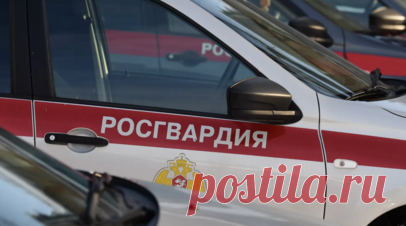 В Краснодарском крае студент пытался пройти в техникум с сувенирной катаной. Студент одного из техникумов города Армавира в Краснодарском крае пытался пронести сувенирную катану в учебное учреждение. Об этом сообщили в ГУ МВД России по Краснодарскому краю. Читать далее