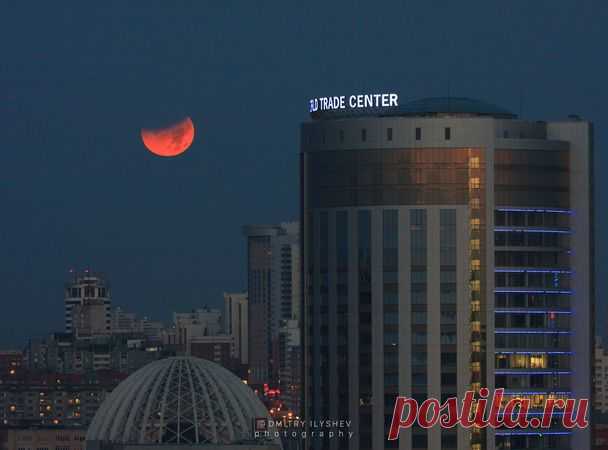 Автор фото: Дмитрий Илышев (ilyshev).  |  «Кровавая Суперлуна»: какой ее увидели жители Земли — National Geographic Россия