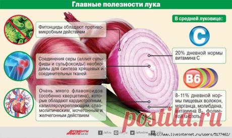 Чем полезен лук и как его готовить.