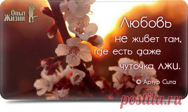 ஜ۩ Опыт ۞ Жизни ۩ஜ