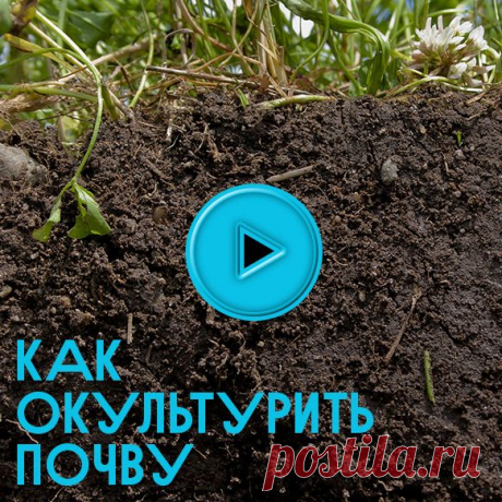 50видеосоветов для огородника