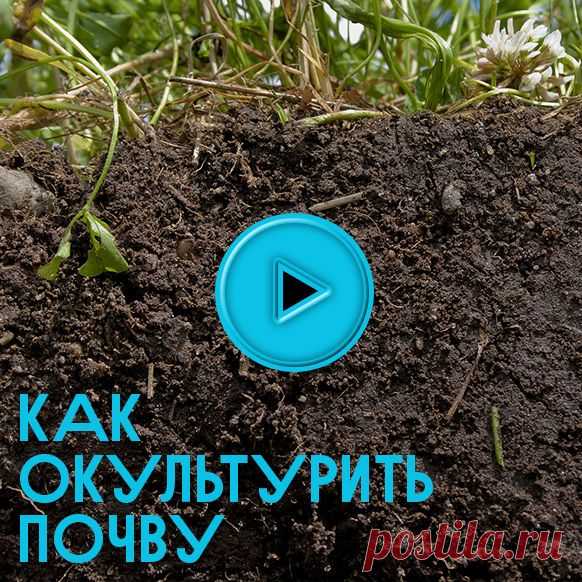 50видеосоветов для огородника