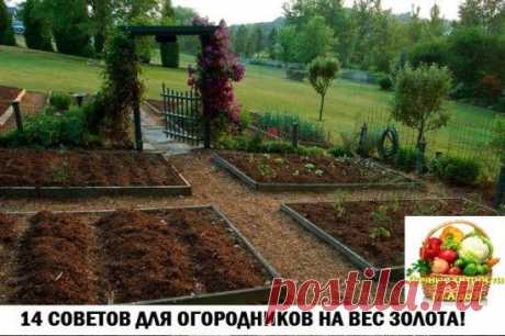 (60) Одноклассники