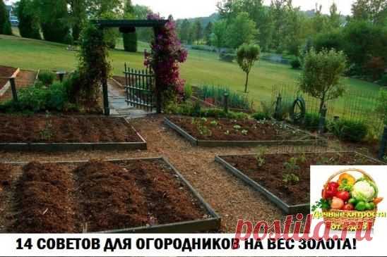 (60) Одноклассники